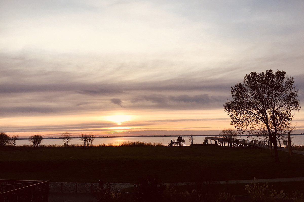 Couché de soleil sur les bord de gironde